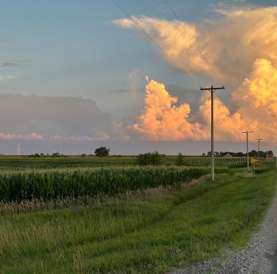 A rural road with power lines along it and fields. In the background are wind turbines.