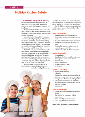 Holiday%20safety%20kcl1116%20web.png